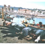 Ghazaouet Pêcherie