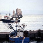Ghazaouet pêcherie 2